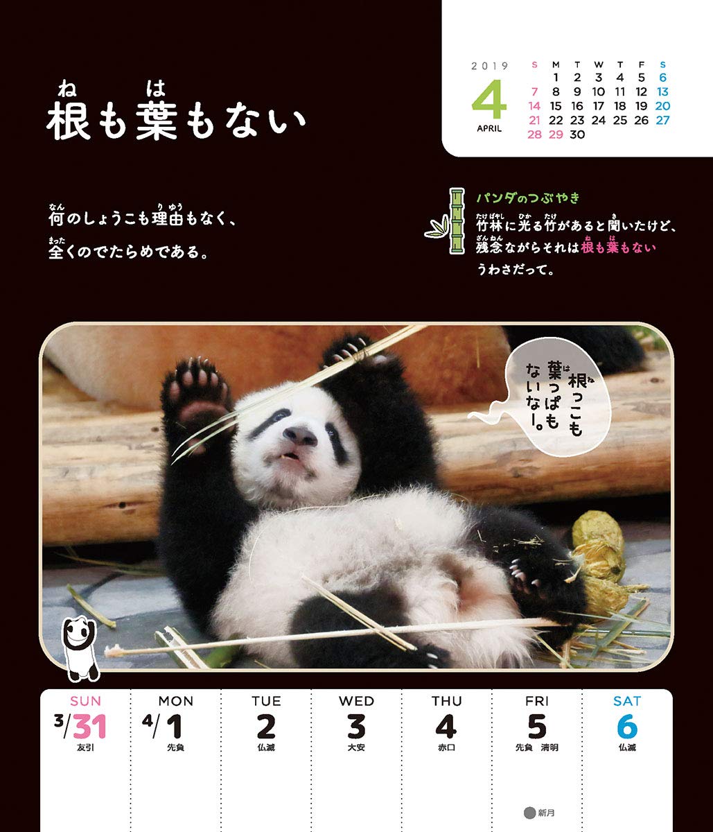 Amazon.co.jp: トライエックス 卓上 パンダでおぼえる ことわざ慣用句